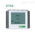DY60数字式温度计